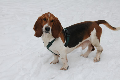 Прогноз погоды в Воронеже на среду, 8 февраля