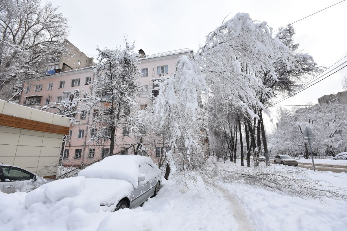 Прогноз погоды в Воронеже на пятницу, 10 февраля