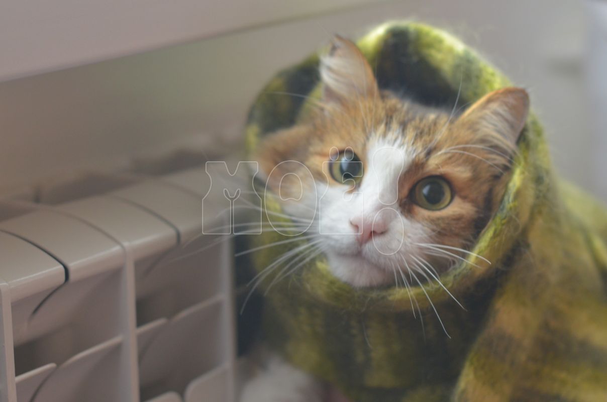 Коммунальщики рассказали, когда вернутся отопление и горячая вода в Железнодорожном районе