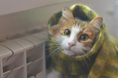 Коммунальщики рассказали, когда вернутся отопление и горячая вода в Железнодорожном районе