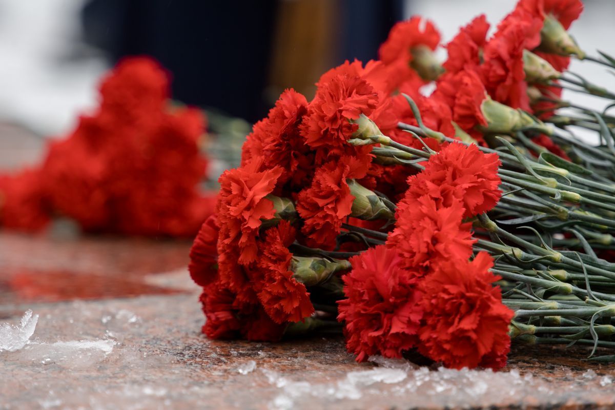 Троих погибших на&nbsp;СВО похоронили в&nbsp;районе Воронежской области с&nbsp;начала года