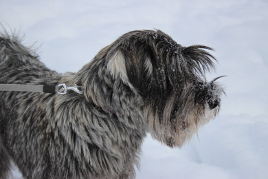 Прогноз погоды в Воронеже на вторник, 21 февраля
