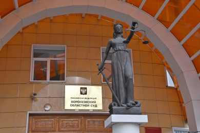 Подала в отставку судья, ужесточившая приговор экс-главе Горэлектросети