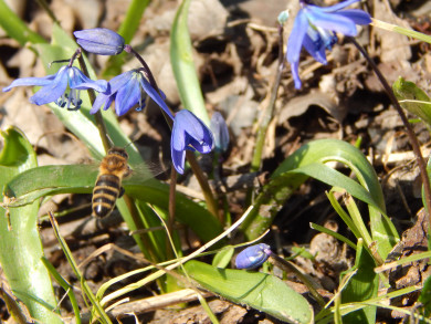 Прогноз погоды в Воронеже на субботу, 4 марта