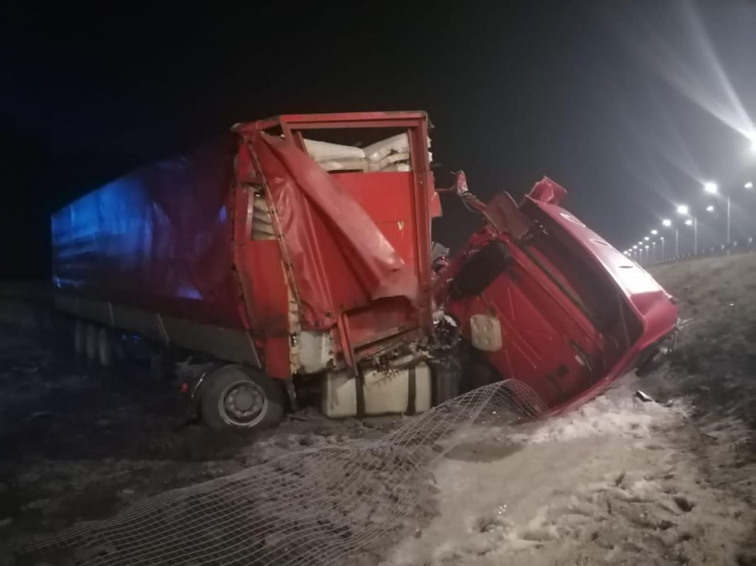 Два грузовика столкнулись в&nbsp;Воронежской области — есть пострадавший