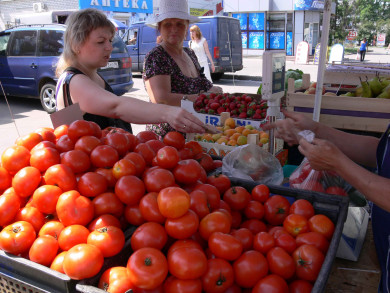 Чем болеют помидоры? Агроном Иван БАБИН отвечает на вопросы читателей «МОЁ!»
