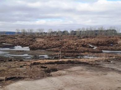 Экологи устанавливают, кто «завалил дерьмом мраморных быков» село под Воронежем