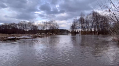 Школьников в Воронежской области отправили на дистант из-за паводка