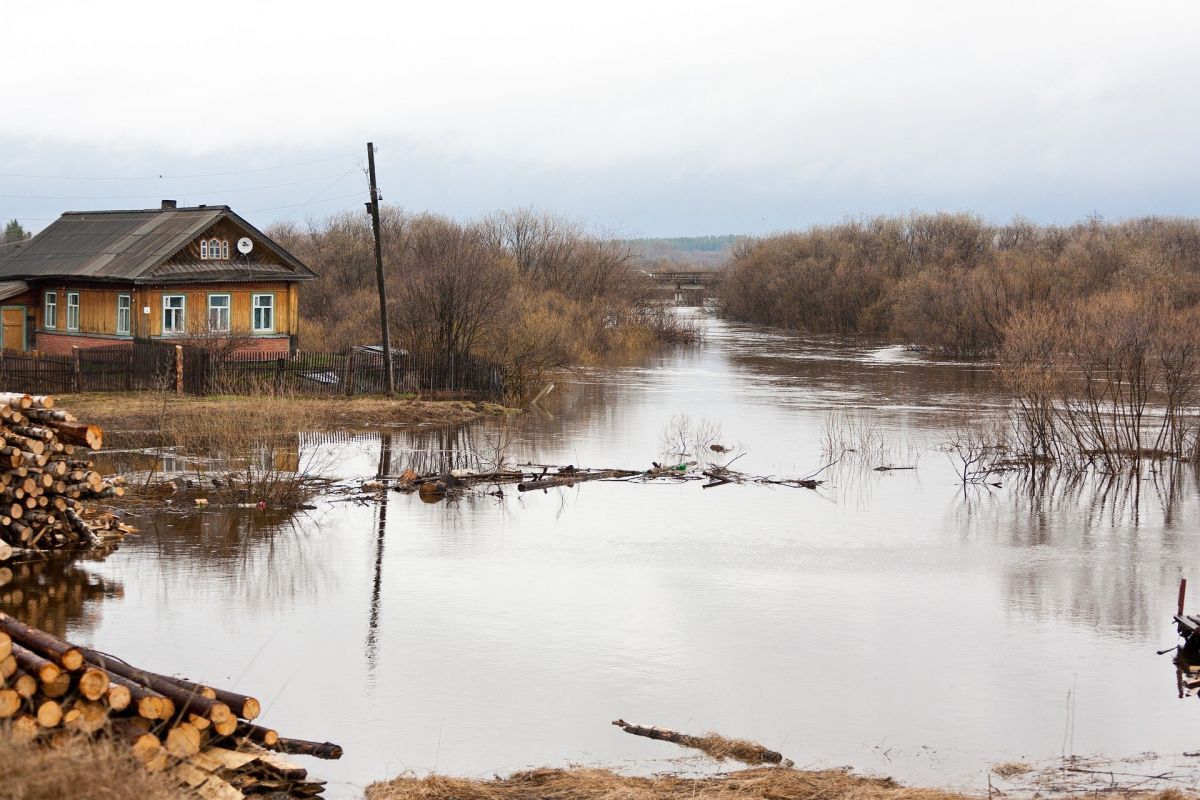 11 мостов затопило в Воронежской области&nbsp;