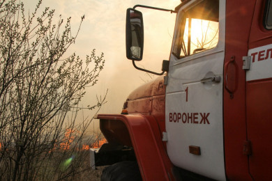 Несмотря на дождливую погоду, в Воронежской области начался сезон ландшафтных пожаров