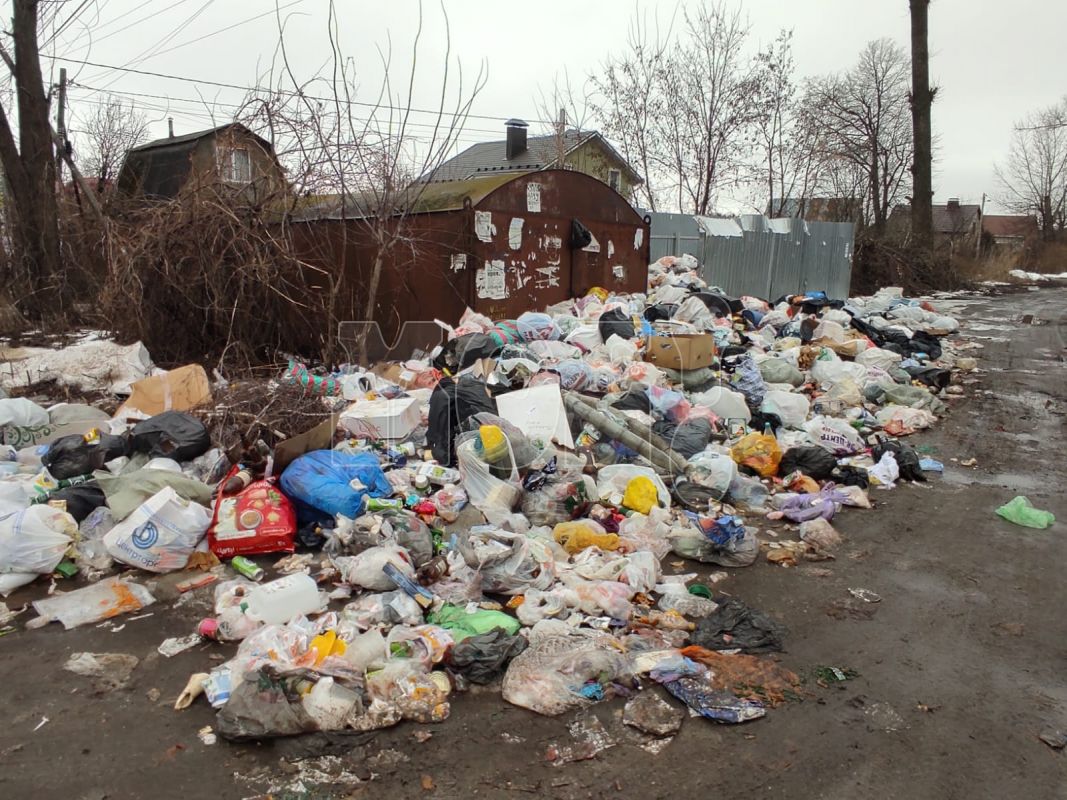 «Получаю лишь отписки!» Жительница воронежского СНТ пожаловалась на&nbsp;растущую полгода кучу мусора