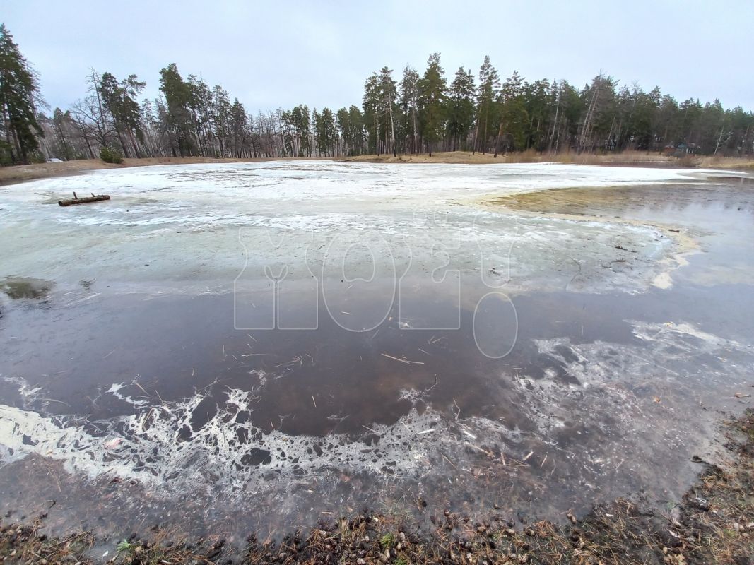 «Вздохнули с облегчением»: пересохшее 4 года назад озеро в Воронеже продолжает наполняться водой