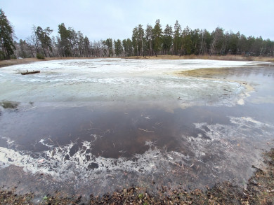 «Вздохнули с облегчением»: пересохшее 4 года назад озеро в Воронеже продолжает наполняться водой