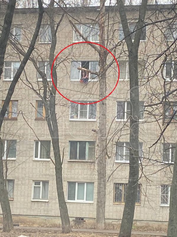 Воронежцев напугали маленькие дети, опасно свесившие ноги из окна пятиэтажки