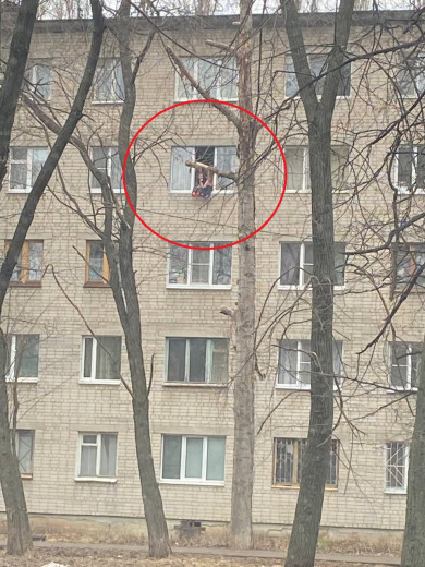Воронежцев напугали маленькие дети, опасно свесившие ноги из окна пятиэтажки