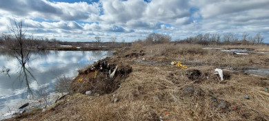 Бастрыкин заинтересовался сообщениями о загрязнении рек в Воронежской области