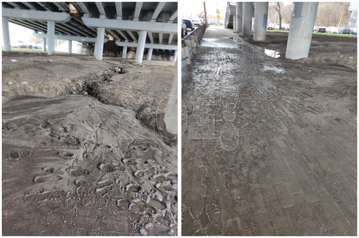 «Непролазная грязь» покрыла тротуар у набережной в&nbsp;Воронеже