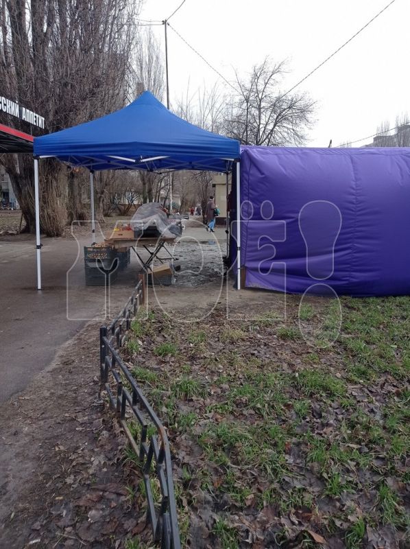Палатка-шатёр захватила тротуар и газон у остановки в Воронеже