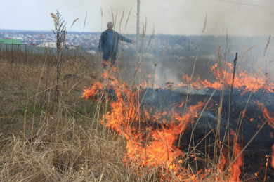 Противопожарный режим введут в Воронежской области после Пасхи