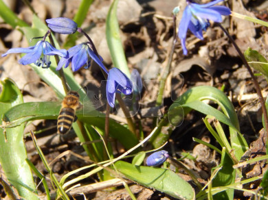 Прогноз погоды в Воронеже на среду, 12 апреля 