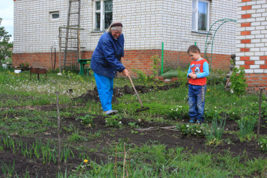 Для воронежских дачников проведут горячую линию