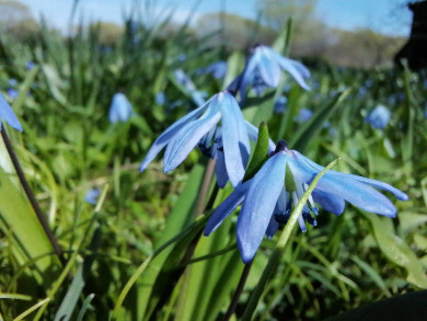 До +16 градусов потеплеет в Воронеже на рабочей неделе