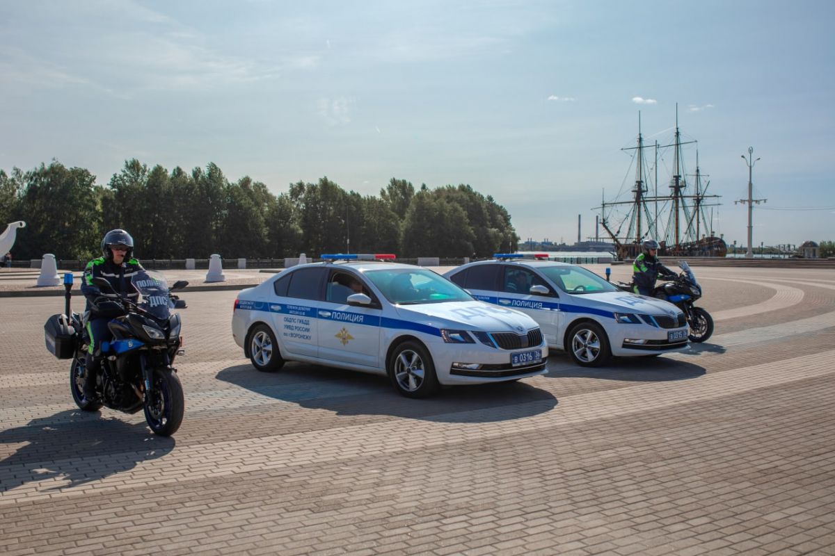 Воронежских водителей и&nbsp;пешеходов предупредили о&nbsp;сплошных проверках