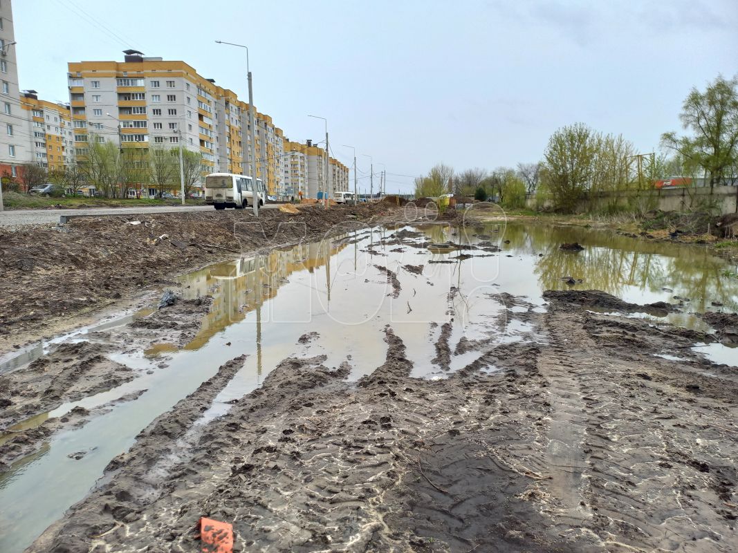 «На окраине Воронежа появилась новая достопримечательность — зловонное озеро»