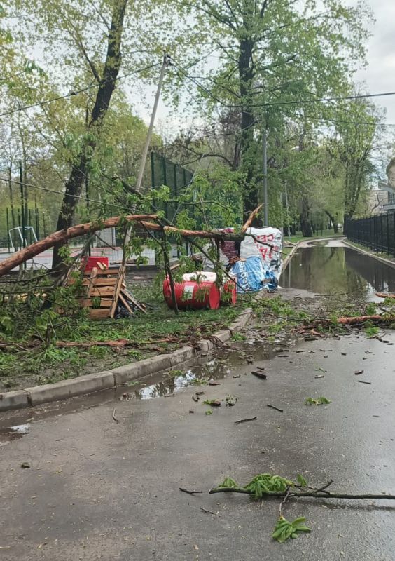 Большая ветка рухнула на опору линии электропередачи в Воронеже