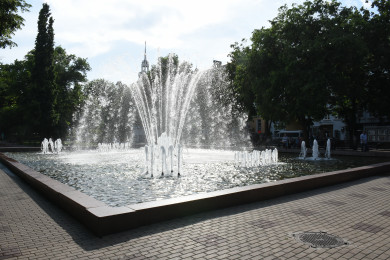 До +19 градусов потеплеет в Воронеже на короткой рабочей неделе