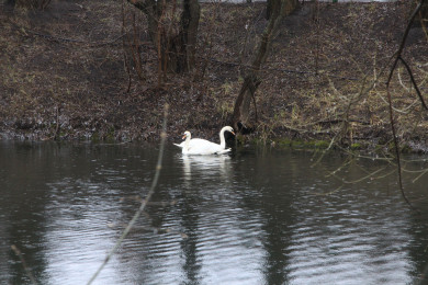 Прогноз погоды в Воронеже на среду, 3 мая