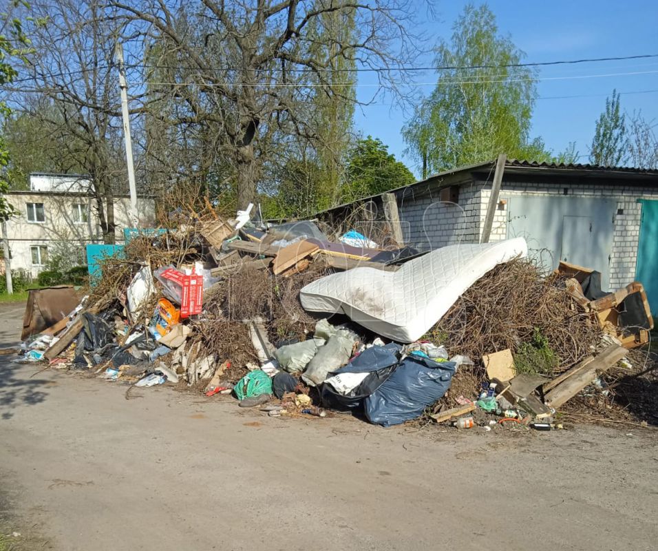 «Гигантскую кучу мусора рядом с жилыми домами не вывозят неделями»