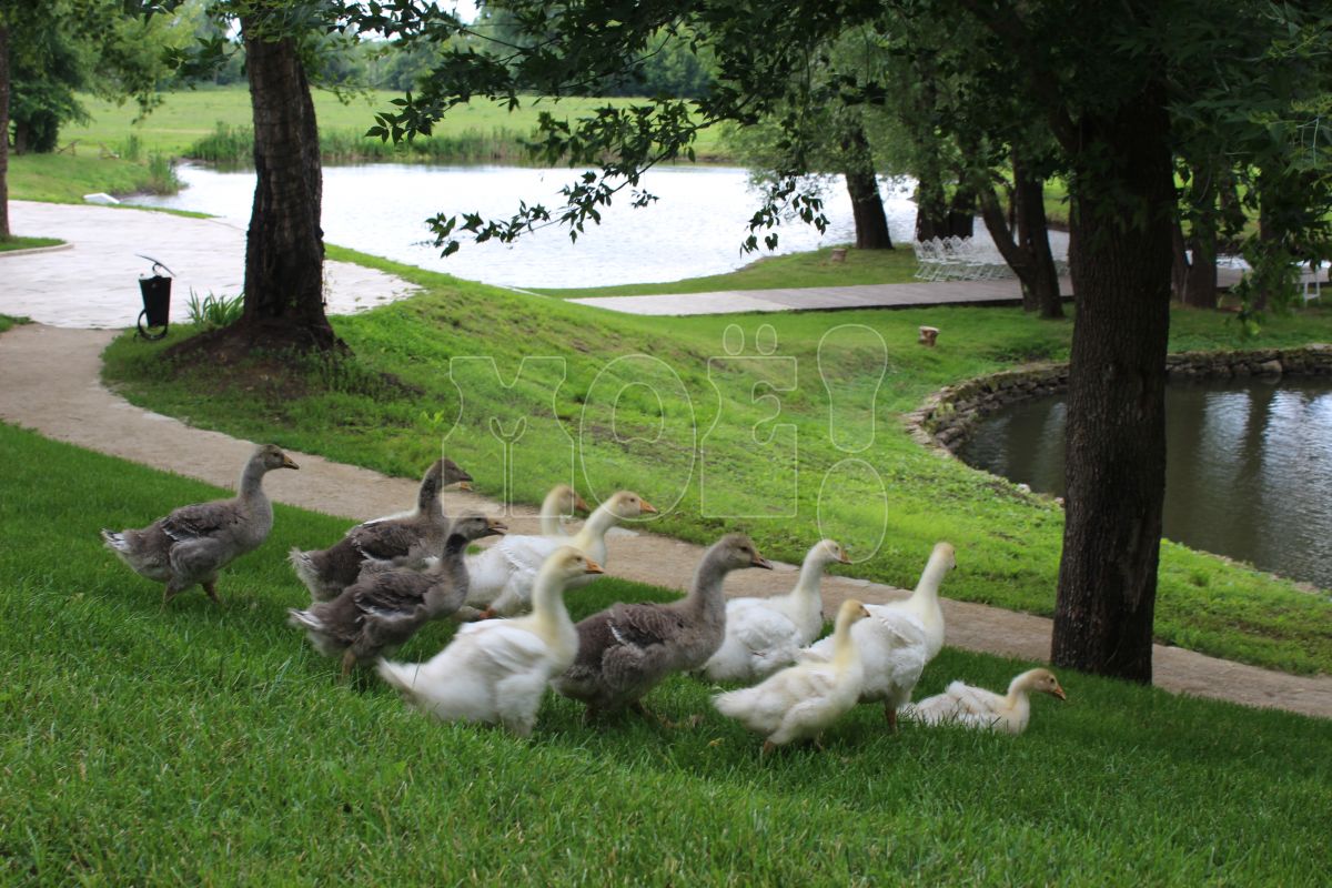 Прогноз погоды в&nbsp;Воронеже на&nbsp;воскресенье, 7 мая