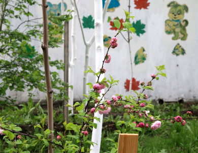 Прогноз погоды в Воронеже на понедельник, 8 мая