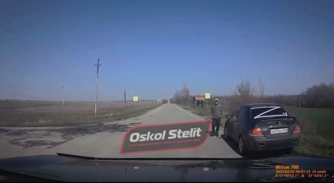 Птицы бросаются под машину