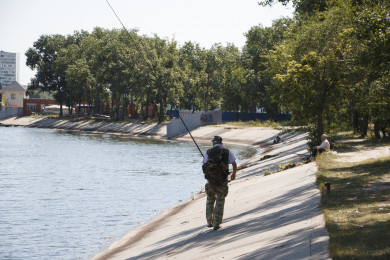 Рыбака с завидным уловом осудили в Воронеже