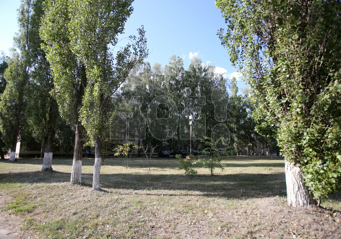 Прогноз погоды в&nbsp;Воронеже на&nbsp;среду, 17 мая