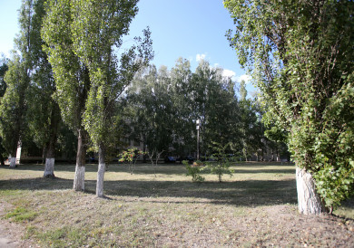 Прогноз погоды в Воронеже на среду, 17 мая