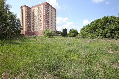 Центральный парк вырубают под строительство многоэтажки?