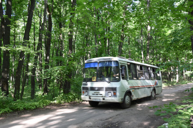 Воронежских дачников оставили без автобуса из-за разбитых дорог