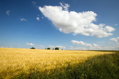 Прогноз погоды в Воронеже на среду, 31 мая