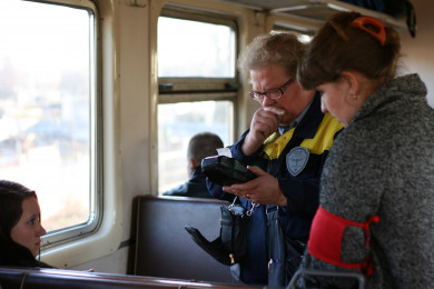 Сплошные проверки пассажиров поездов пройдут в Воронежской области