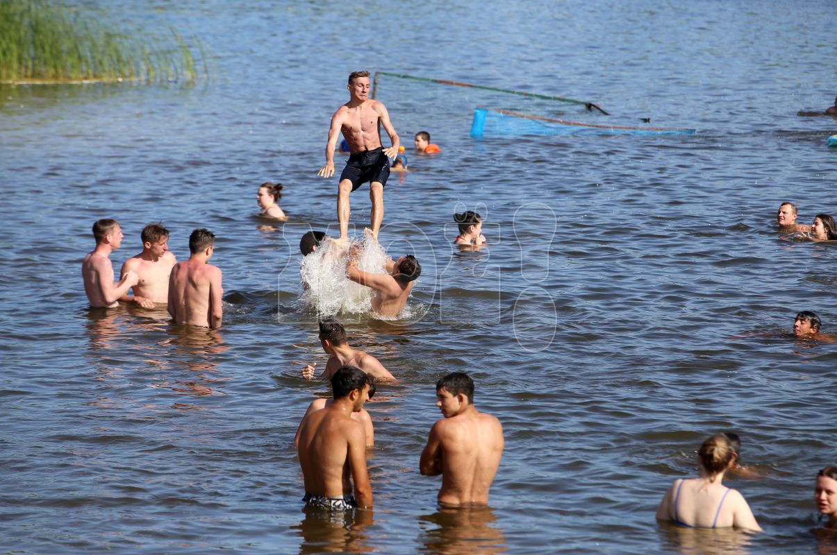 На пяти пляжах Воронежа обнаружили кишечную палочку