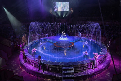 В воронежском цирке покажут шоу «Одиссея» — заключительное перед реконструкцией