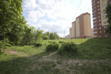 Власти рассказали, планируется ли застройка у Центрального парка в Воронеже