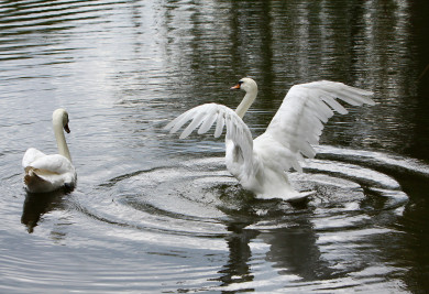 Россиянам напомнили о короткой рабочей неделе