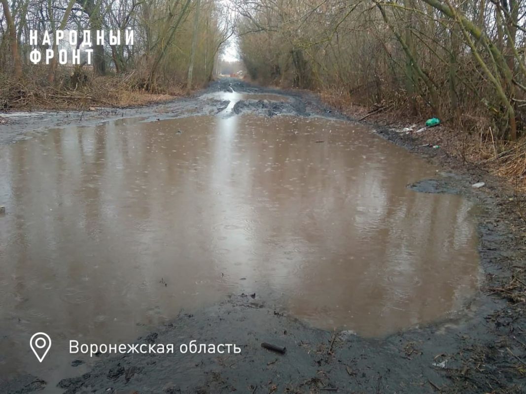«Даже на&nbsp;вездеходе не&nbsp;прорвёшься». Воронежцы жалуются на&nbsp;бездорожье в&nbsp;маленьких сёла