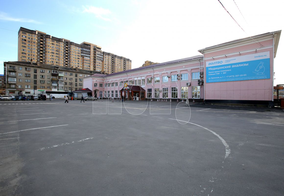 В Воронеже отменены некоторые междугородние автобусные маршруты