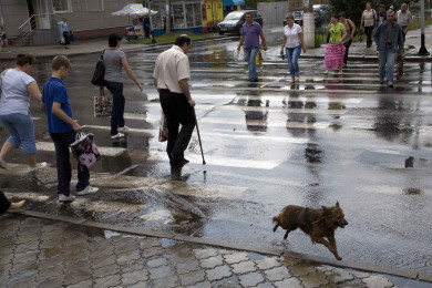 Прогноз погоды в Воронеже на четверг, 29 июня