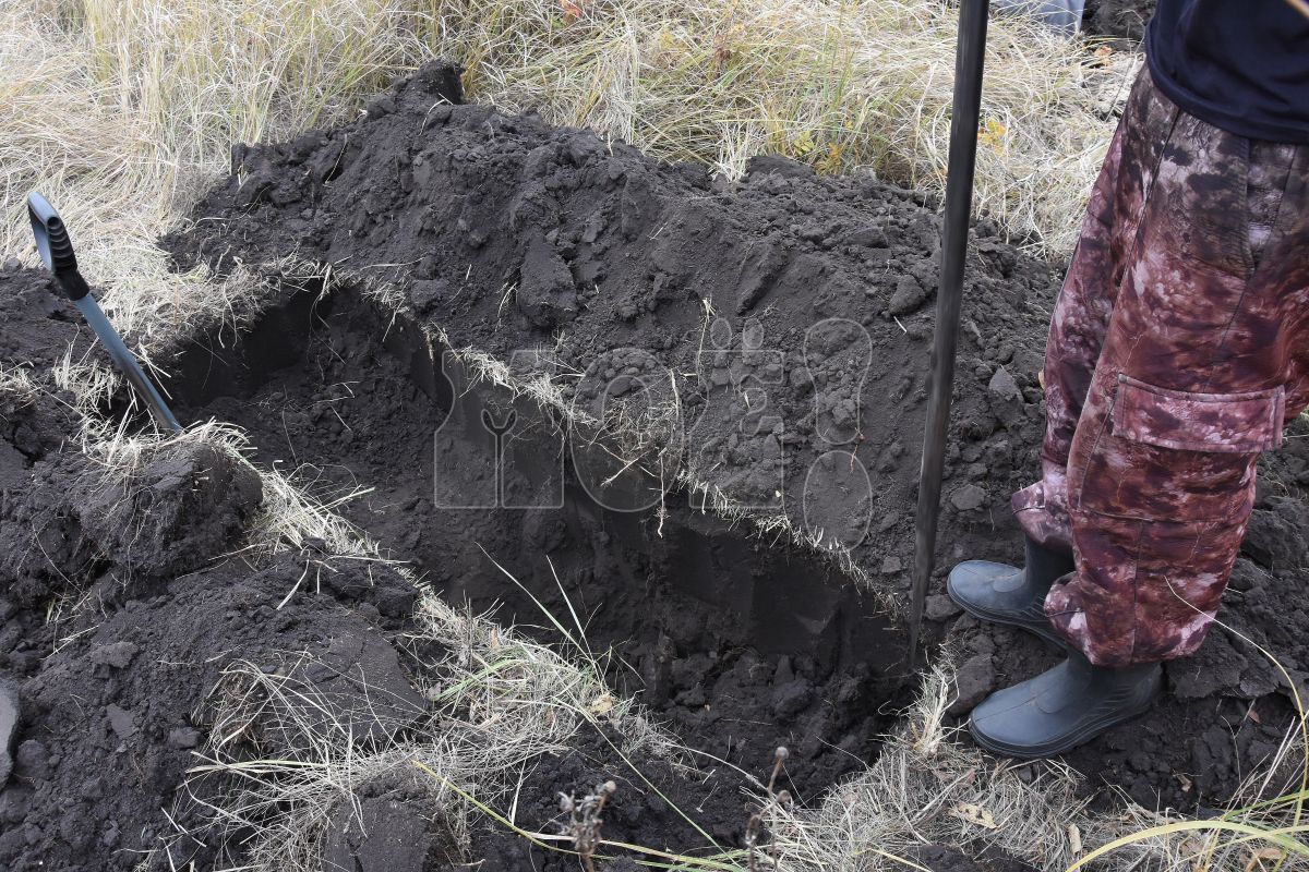 У «Воронежских городских кладбищ» появился новый руководитель